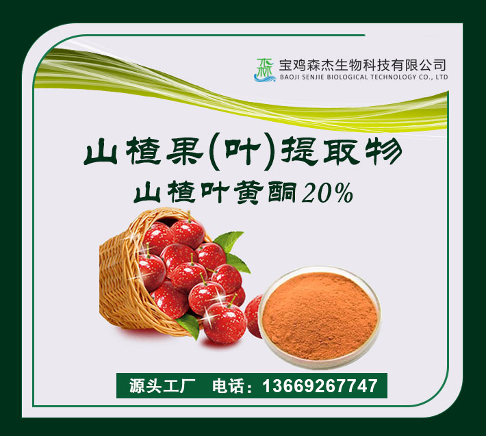山楂叶提取物